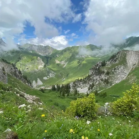 Magnificent On The Mountain Slopes Les Gets
