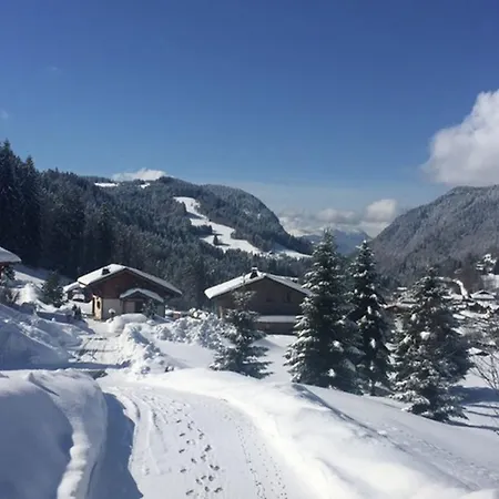 Magnificent On The Mountain Slopes